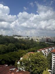 The Skywoods (D23), Condominium #580240871